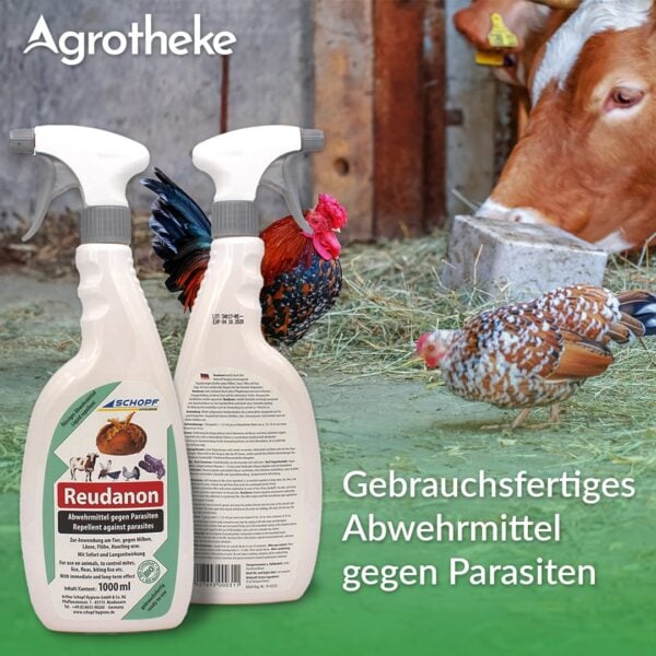 Alternative view of Reudanon Abwehrspray gegen Milben, Läuse, Flöhe und Haarlinge – Schopf Hygiene