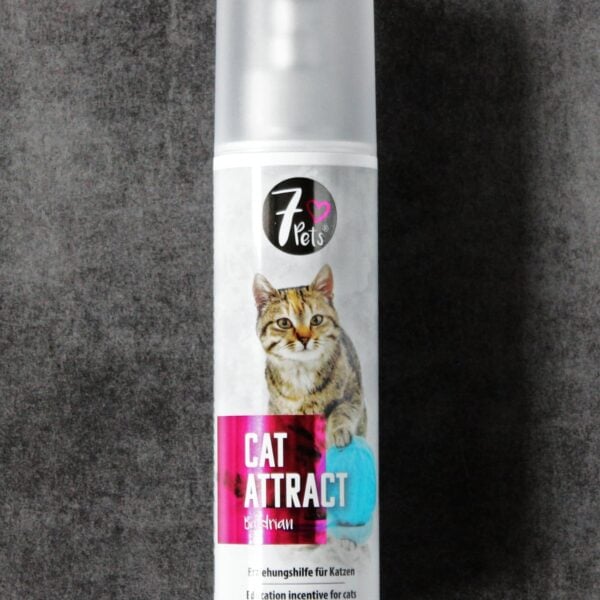 7 Pets Cat Attract