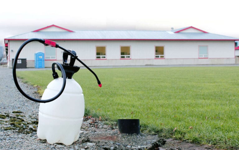 7 Tipps zur effektiven Stallreinigung