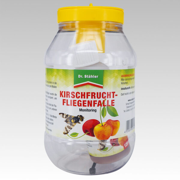 Kirschfruchtfliegenfalle Monitoring