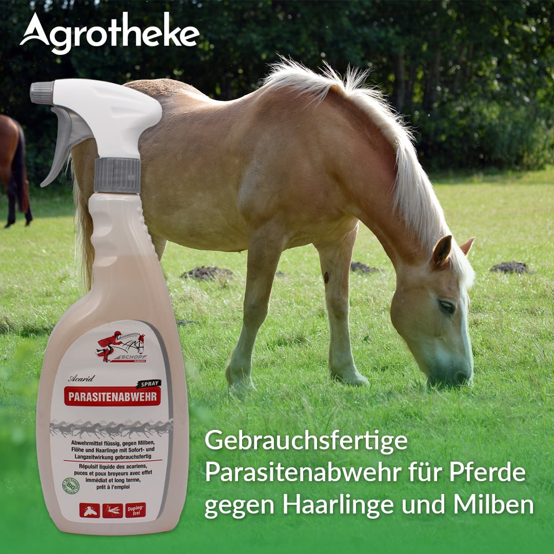 Gebrauchsfertife Parasitenabwehr für Pferde gegen Haarlinge und Milben