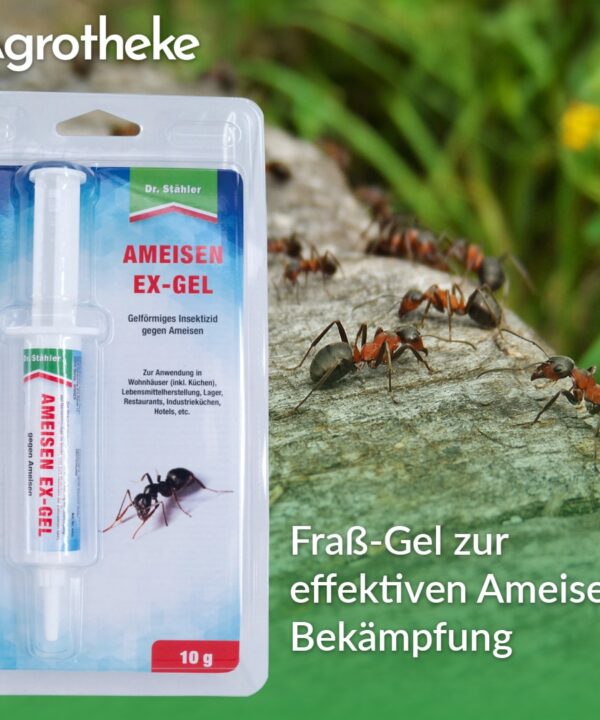 Fraß-Gel zur effektiven Ameisen Bekämpfung