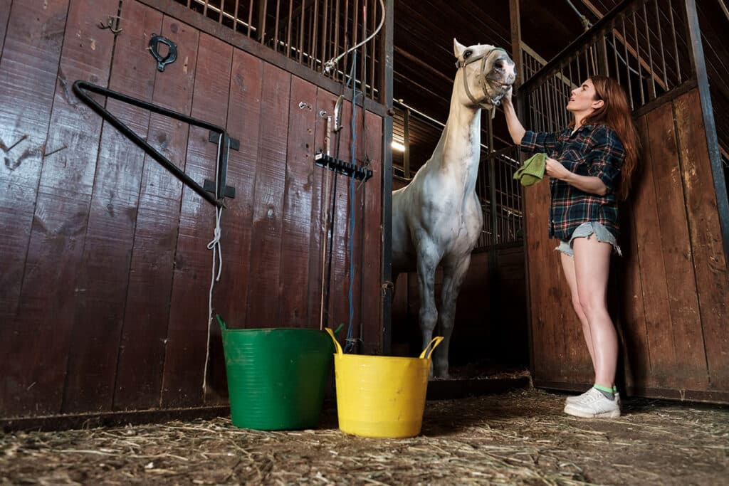 Stallreinigung bei Pferden