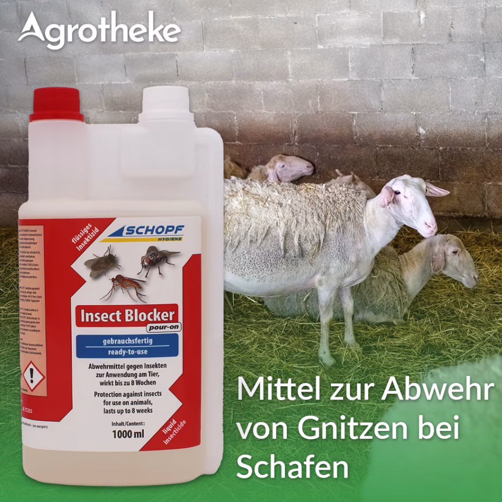 Mittel zur Verbeugung von Blauzungenkrankheit bei Schafen
