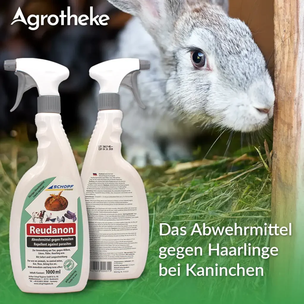 Haarlinge Kaninchen Reudanon 301295