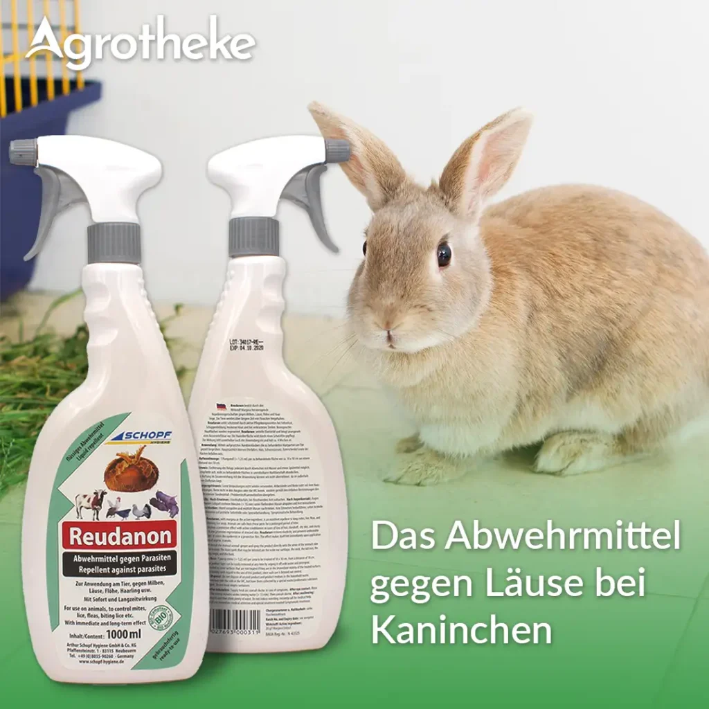 Mittel gegen Läuse bei Kaninchen Reudanon